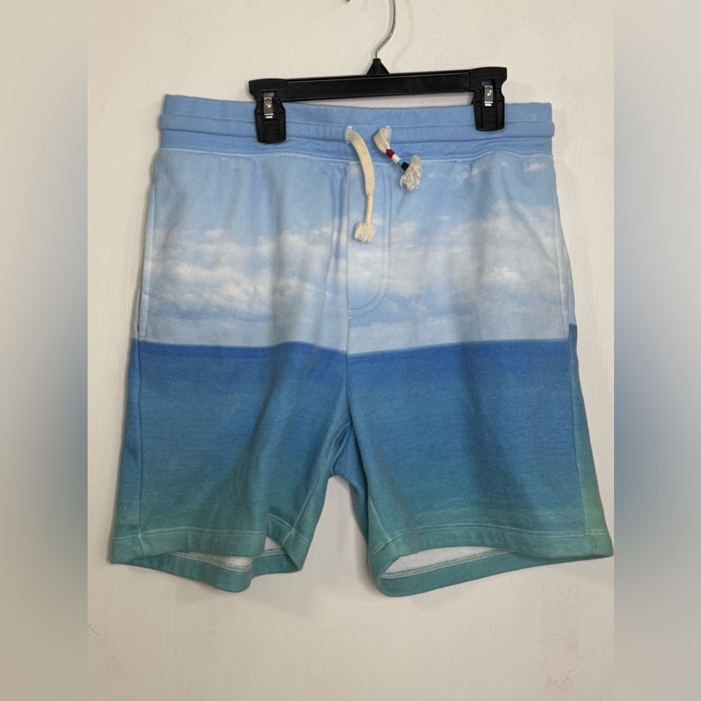 Sol Angeles Sweatshorts